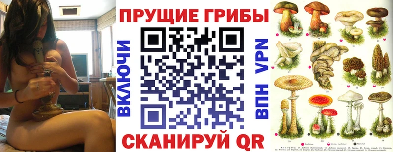 Галлюциногенные грибы GOLDEN TEACHER  купить закладку  blacksprut ТОР  Сальск 